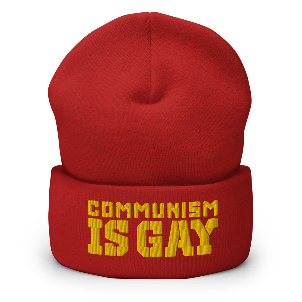 GAY COMMIE